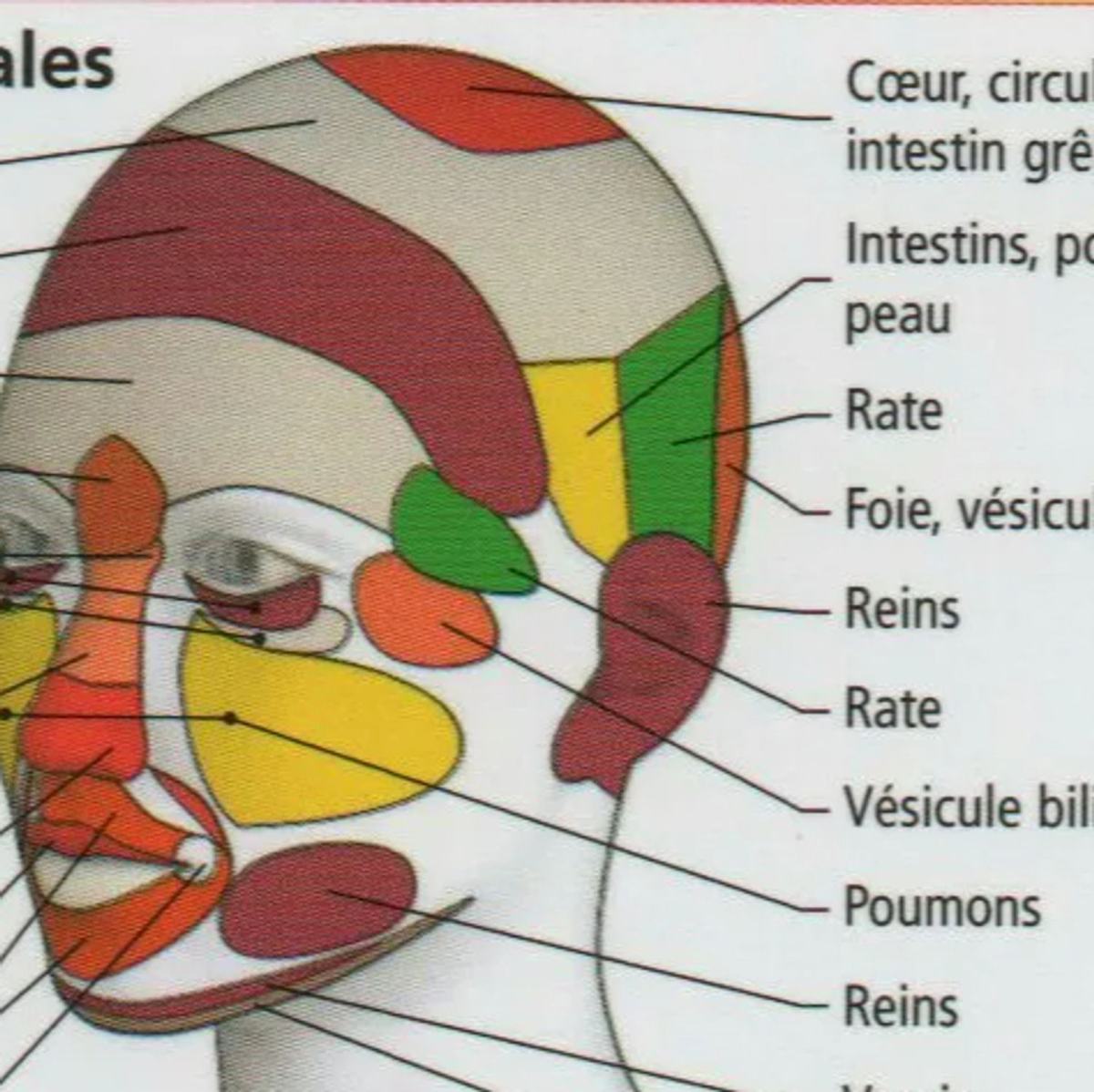 Comment soulager la douleur avec la reflexologie à PAMIERS