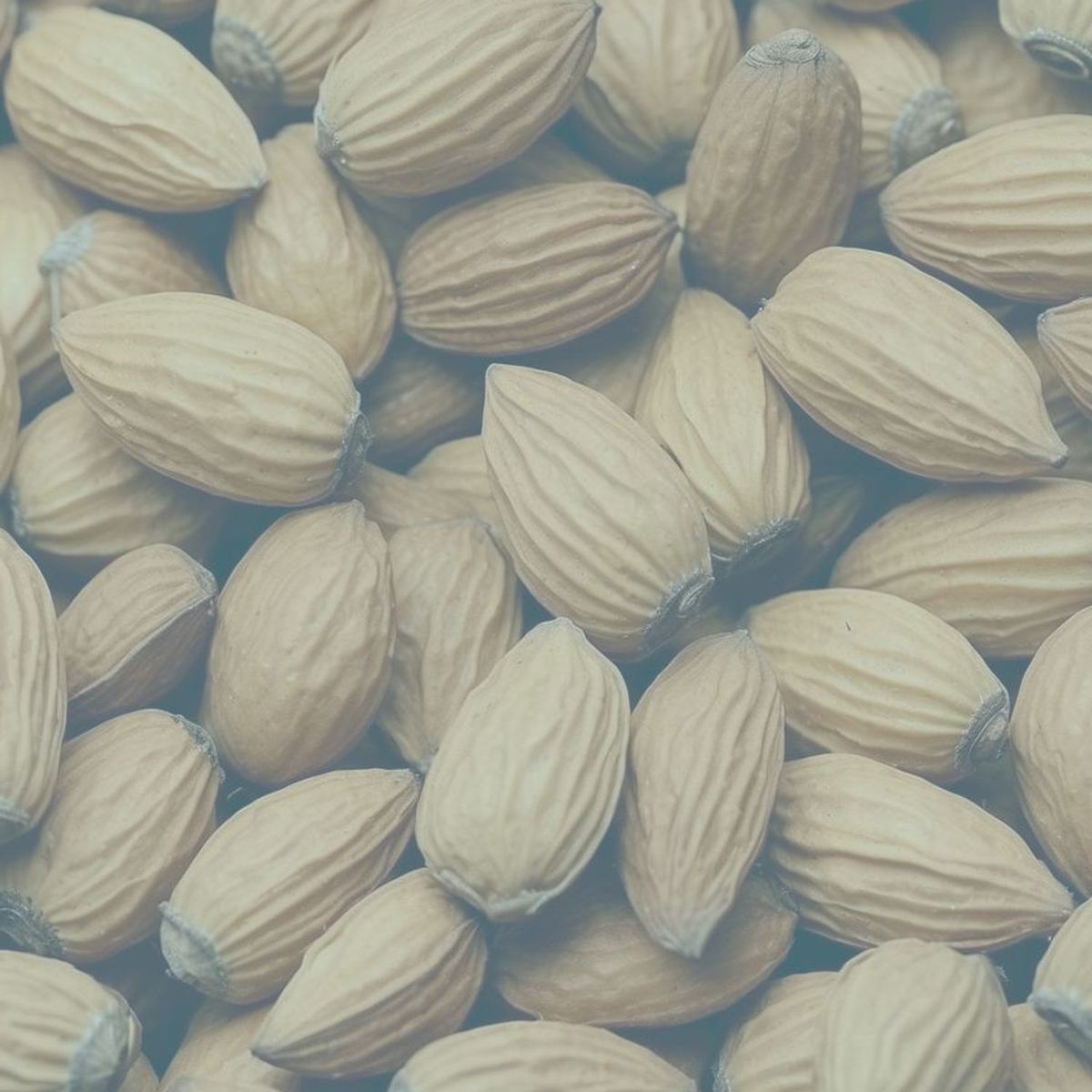Alimentation anti-stress : 5 aliments qui favorisent la détente