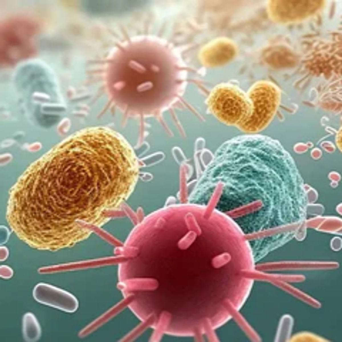 Dysbiose intestinale et résistance à l’insuline : un lien à ne pas négliger