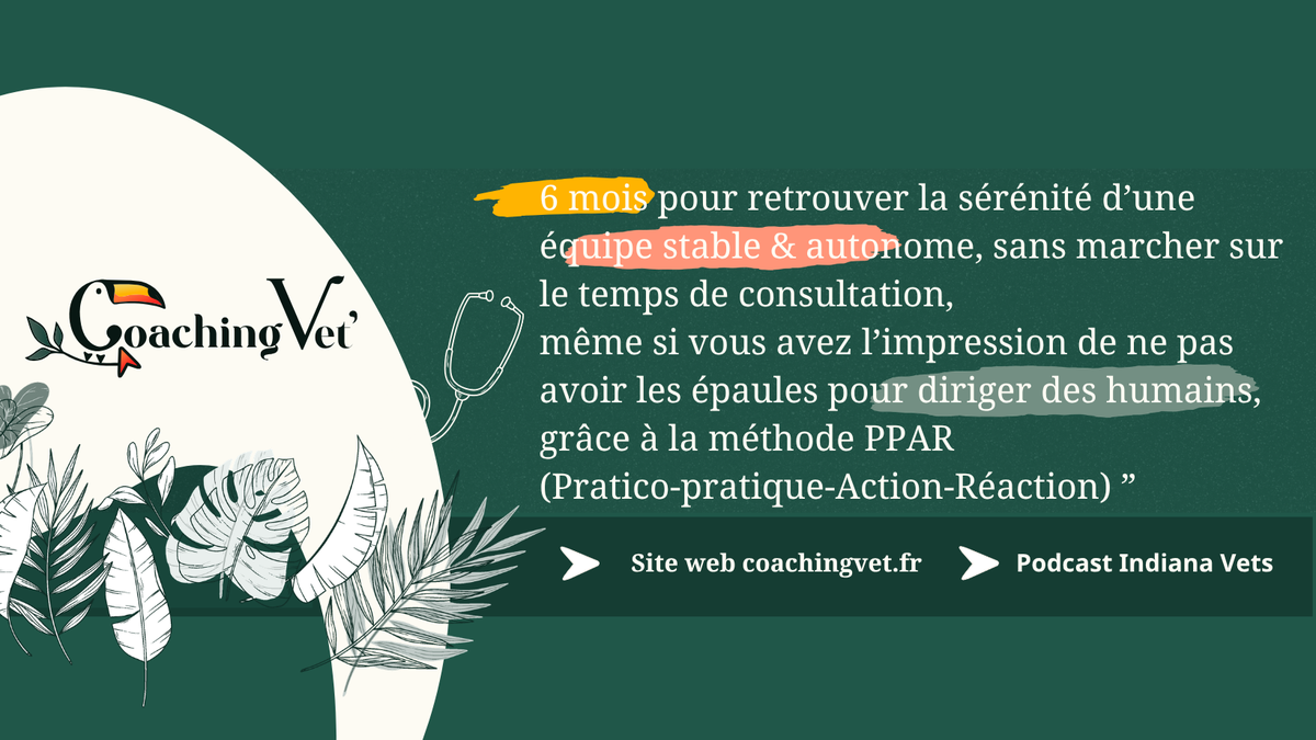 Coach professionnel pour vétérinaires