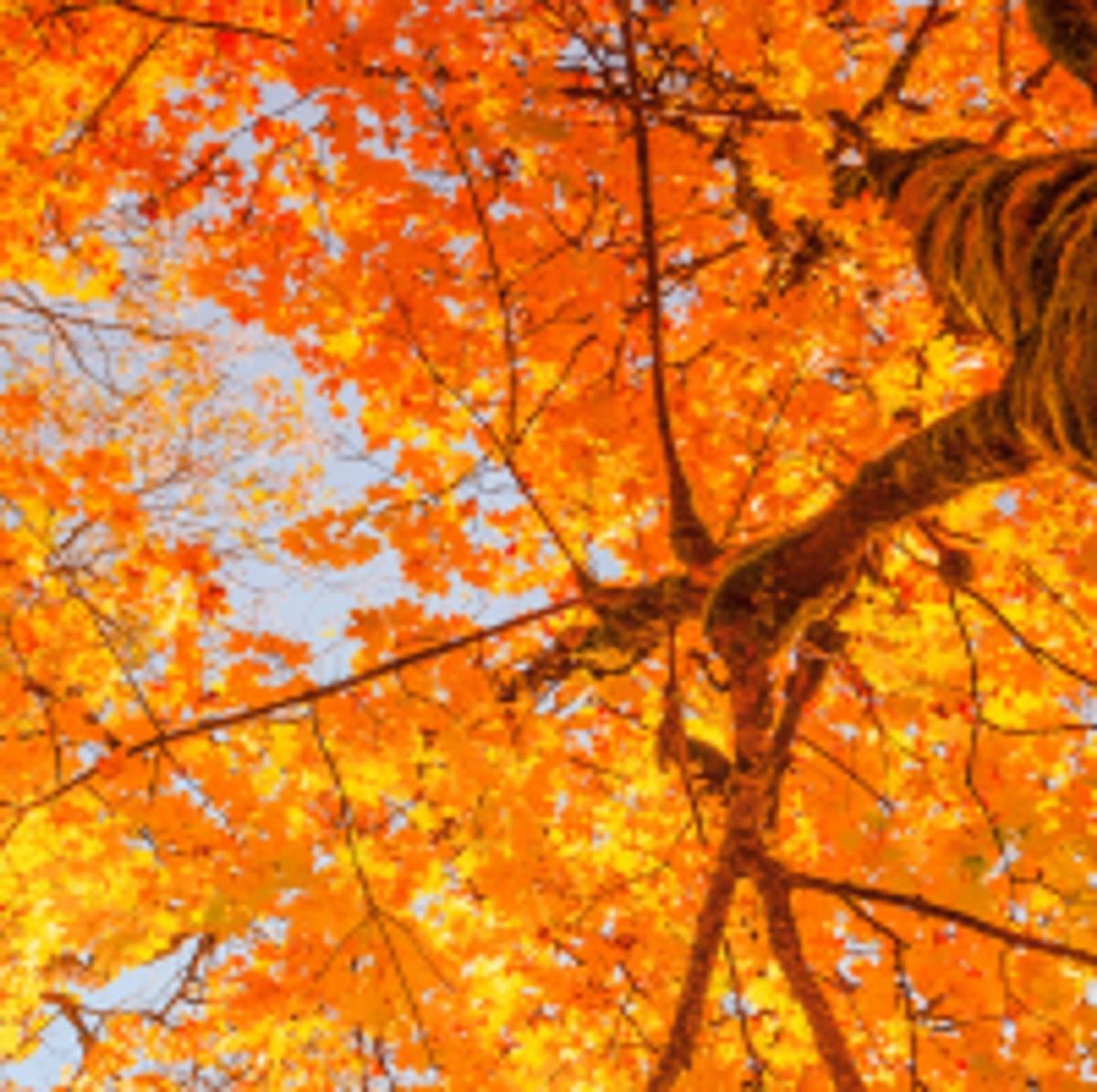 🍂 Votre rentrée sous le signe de la sérénité 🍂