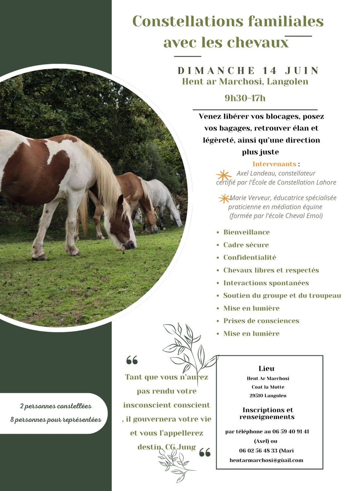 Journée de constellation familiale avec les chevaux 14 juin