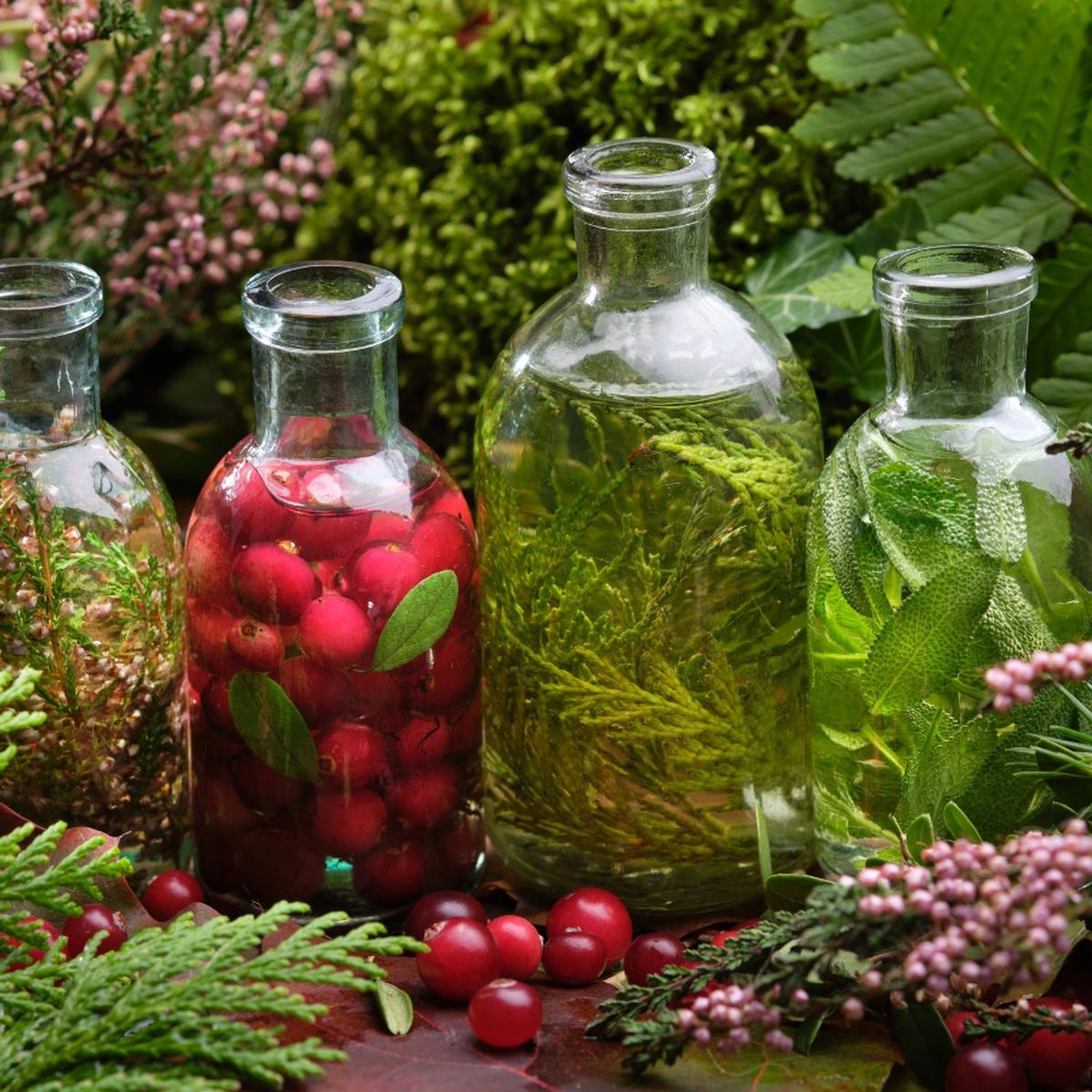 Les Bienfaits de la Naturopathie pour les Femmes