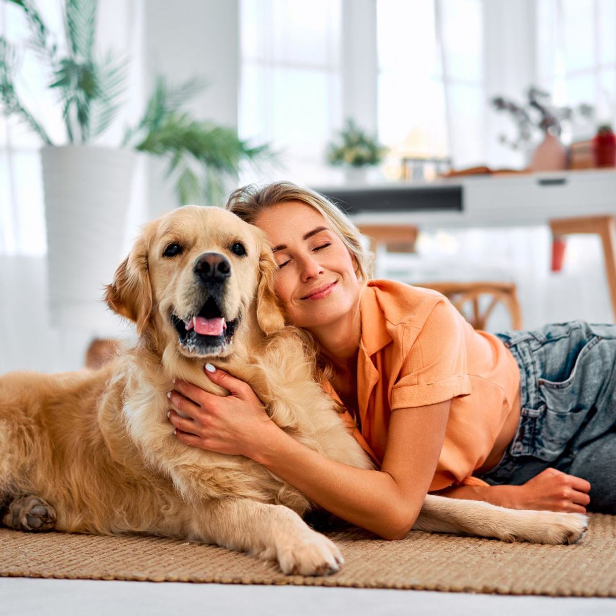 Séance photo avec votre animal : conseils pratiques pour des images naturelles et réussies