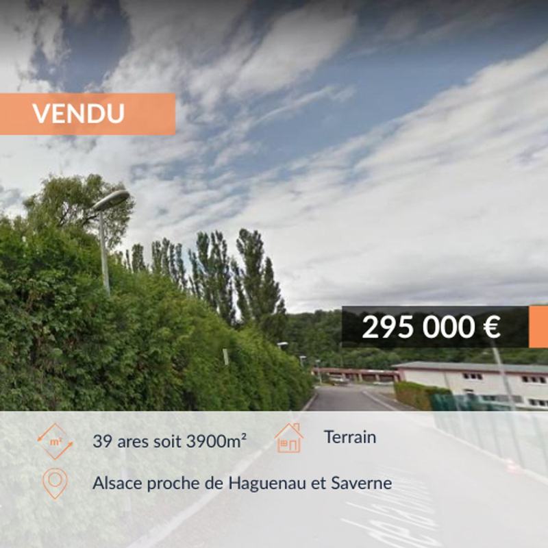 Agent immobilier Haguenau