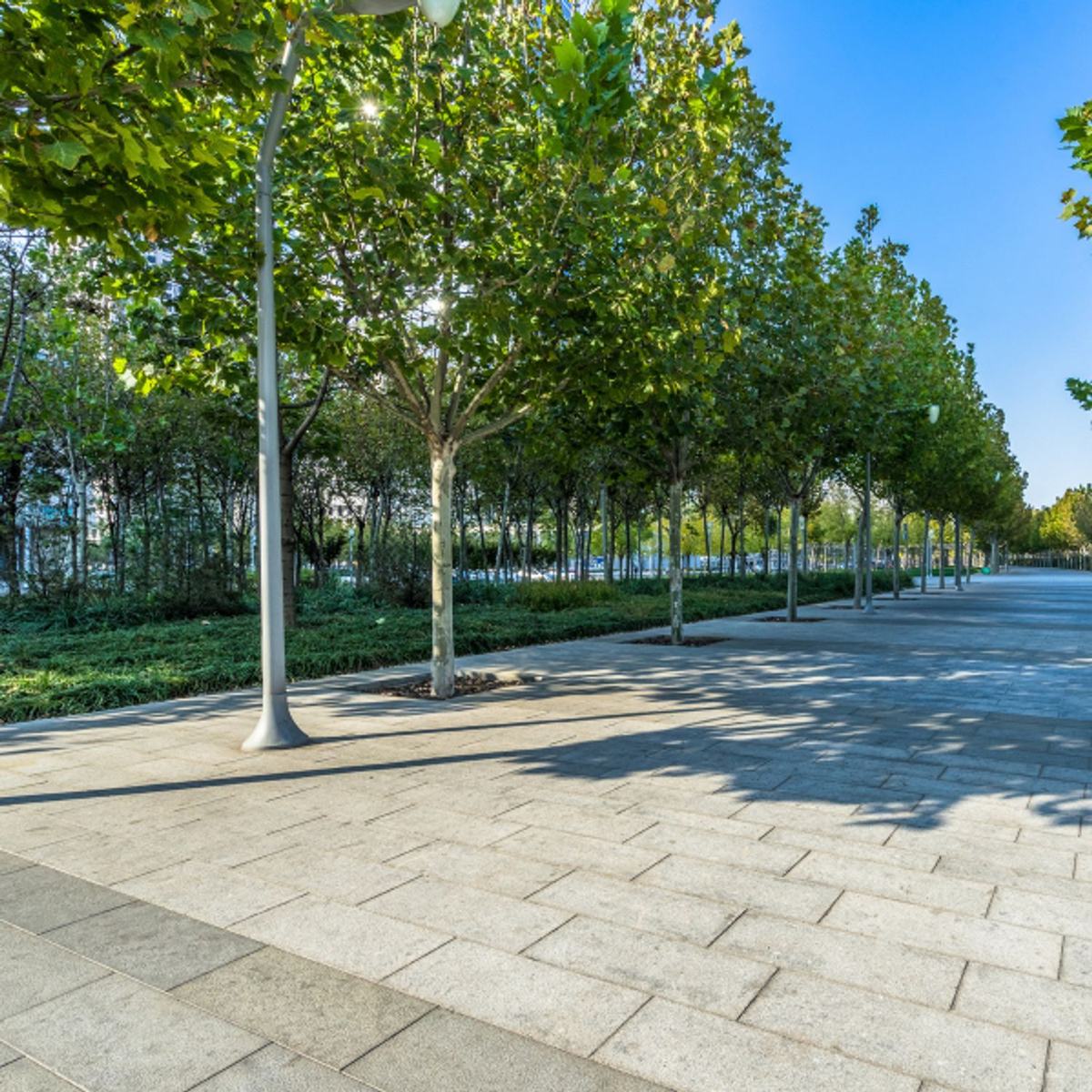Taxi Belleville-en-Beaujolais : transport toutes distances, service 24h/24, 7j/7