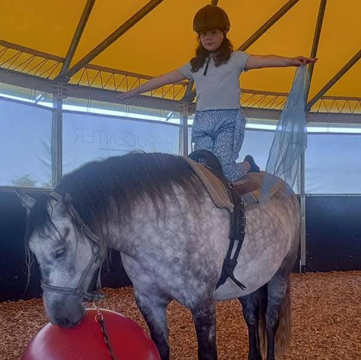 Atelier cirque et cheval