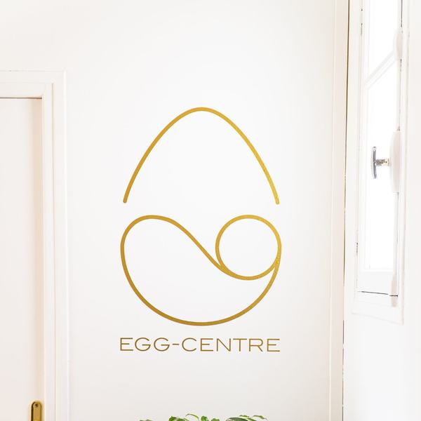  Le développement du Centre Egg   - EGG CENTRE