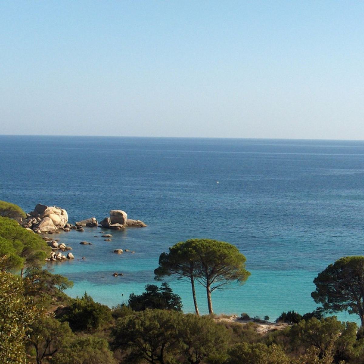 Escapade bien-être et relaxation : offrez-vous une expérience unique de massage en Corse à l’Institut Anthiope