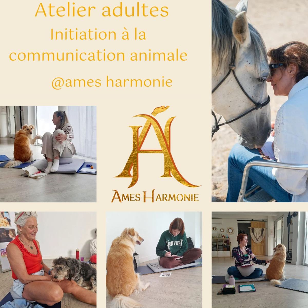 21 Mars 2026 : nouvel atelier d'initiation à la communication animale à  Mougins