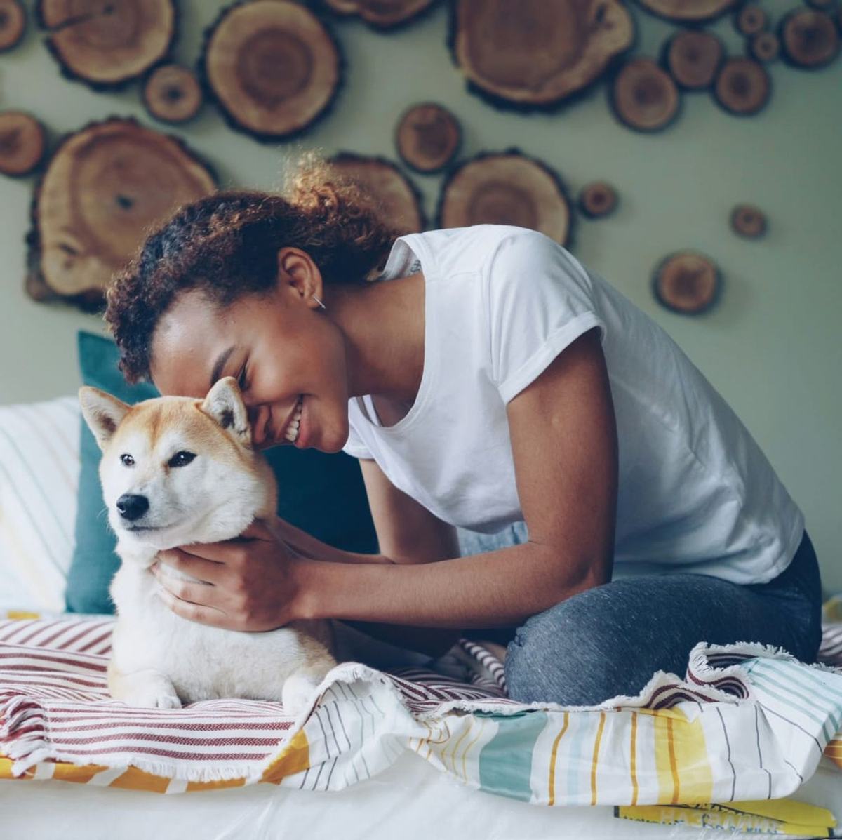 Quand notre animal absorbe nos émotions