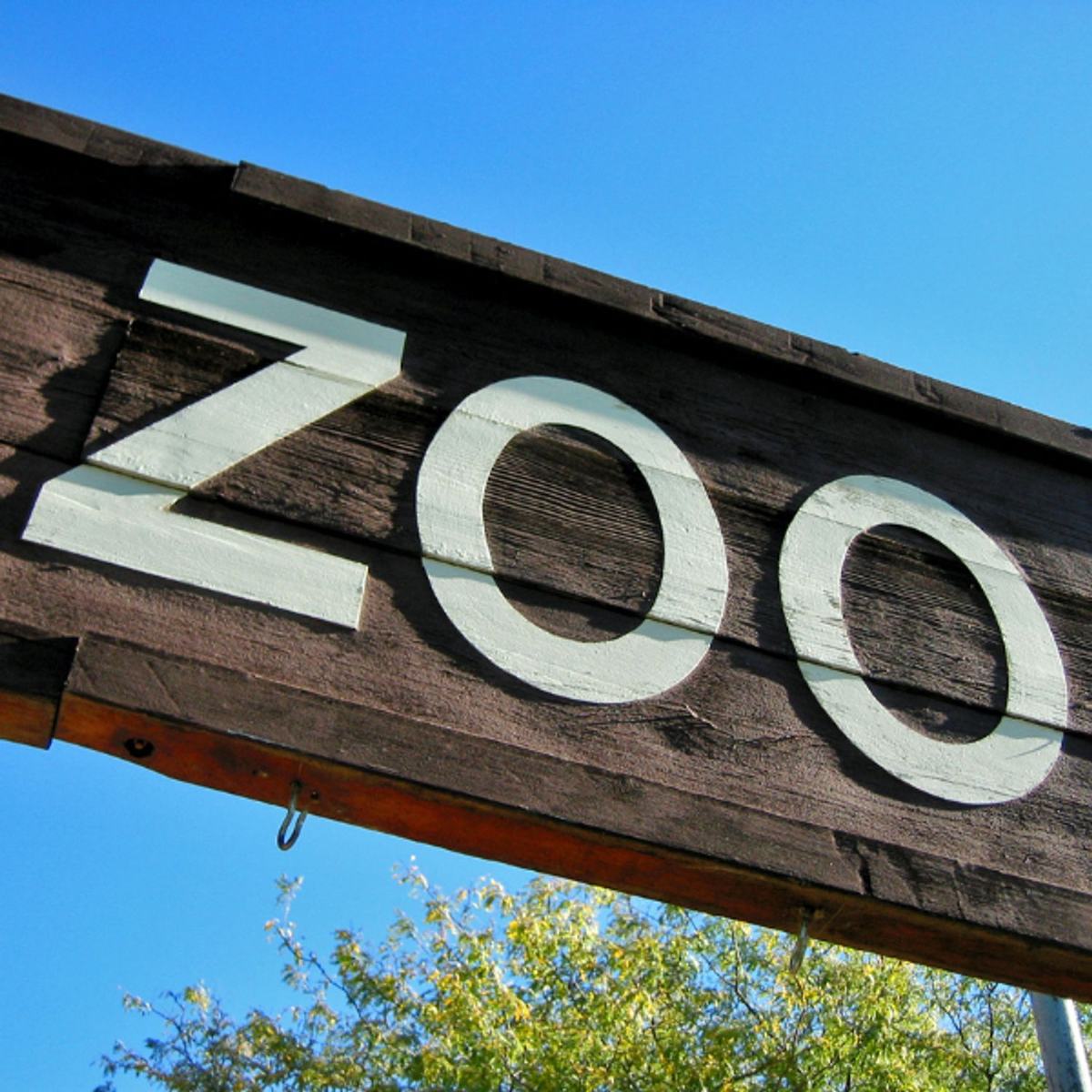 Profitez d’un trajet confortable en VTC pour visiter le zoo de Nantes