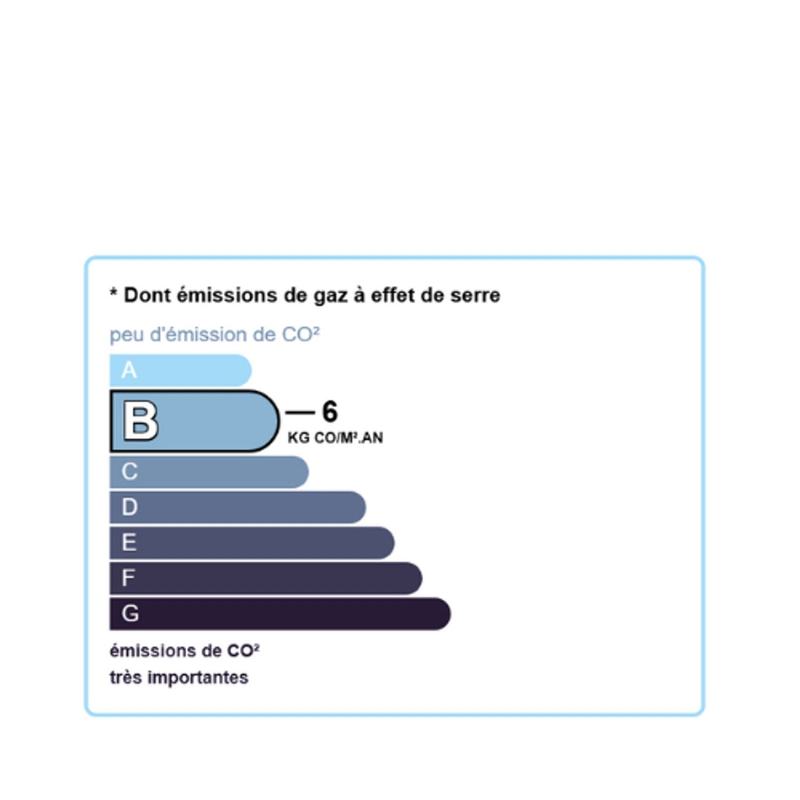 Agent immobilier Haguenau