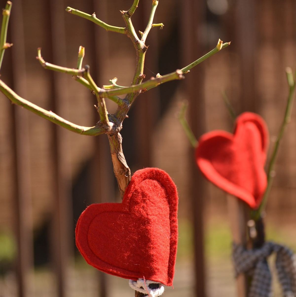 MES OFFRES DE ST VALENTIN
