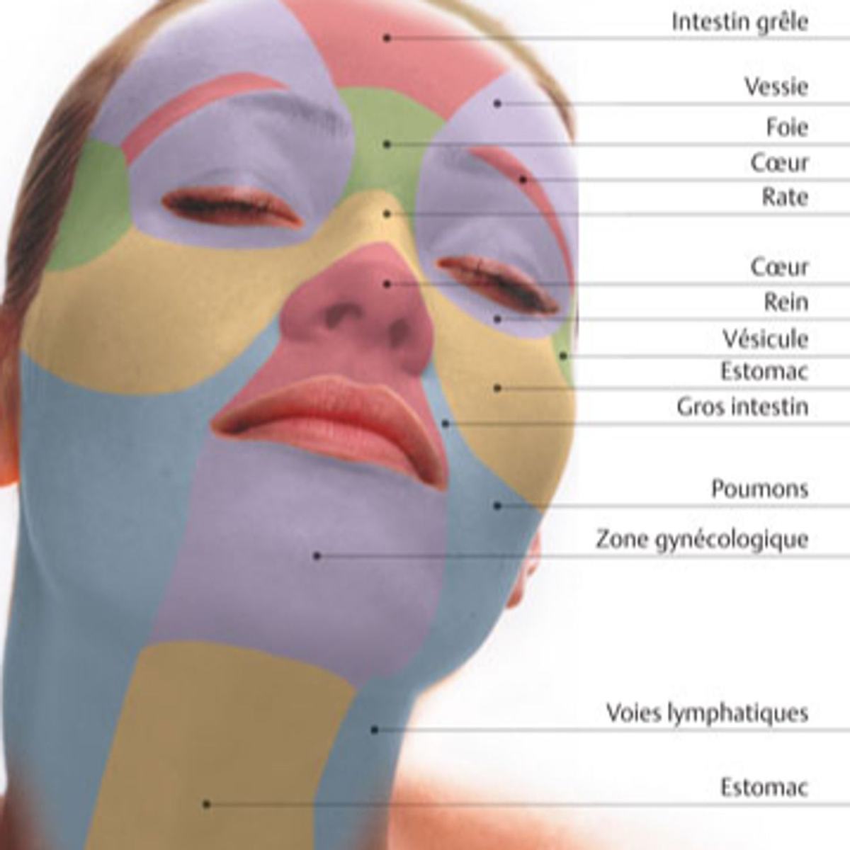 réflexologie plantaire et faciale à PAMIERS 09