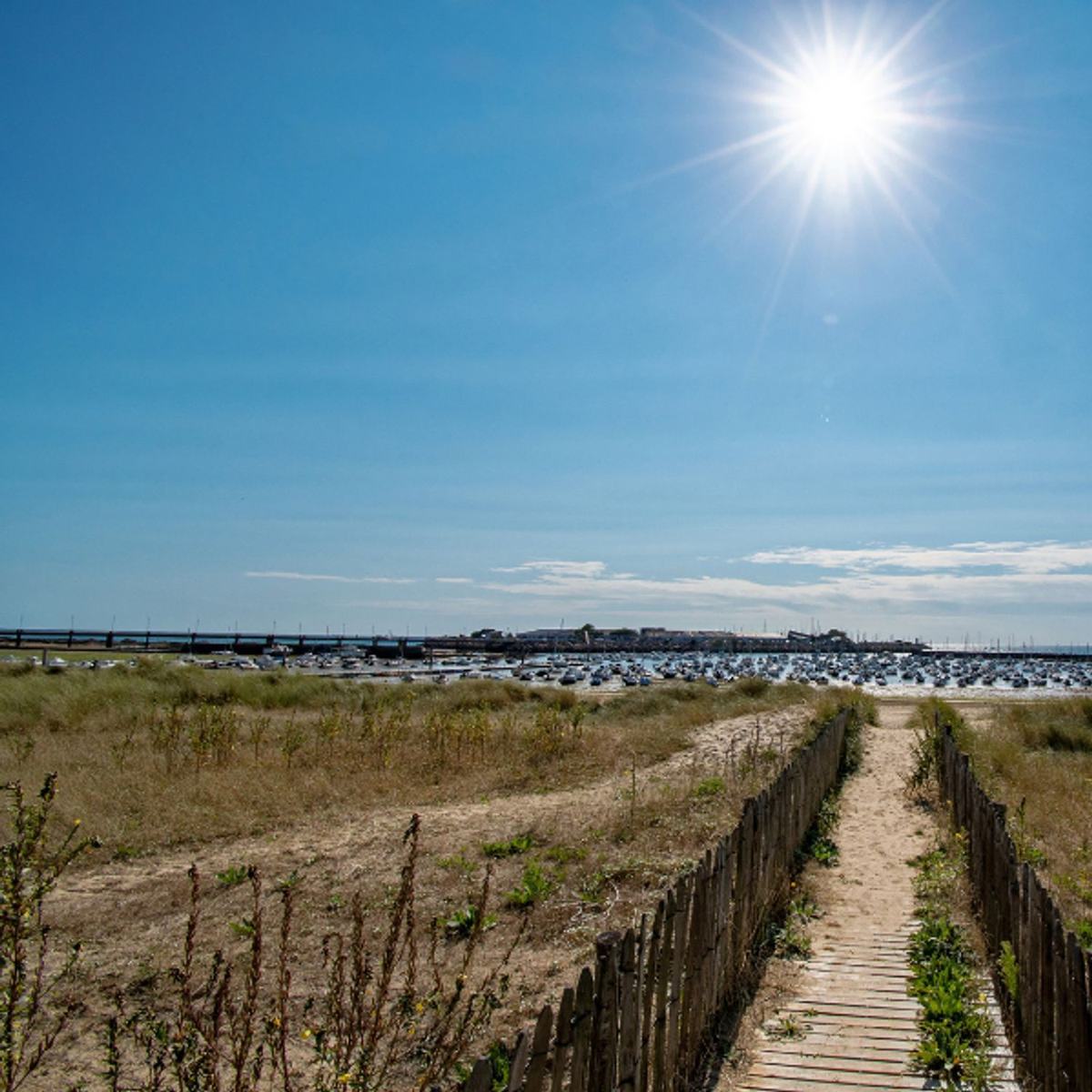 Navettes gratuites estivales à Pornichet : se déplacer sereinement en ville