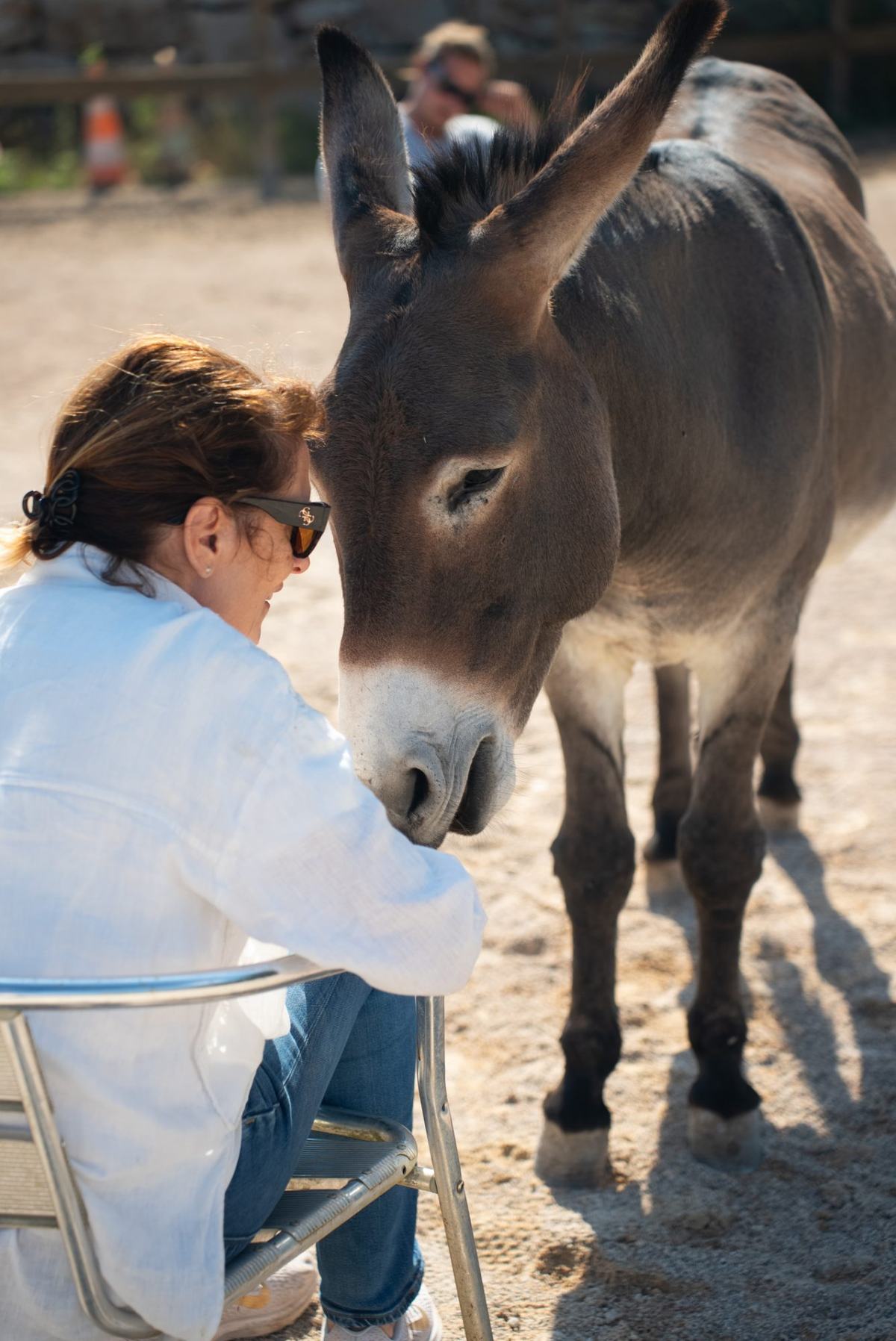 Foire aux questions - Communication intuitive avec les animaux
