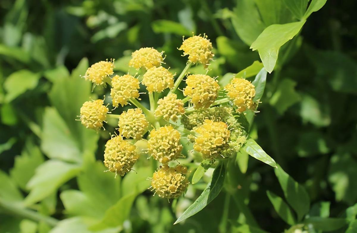🧴 Le centre anti-poison… qui vient à vous.
⁣