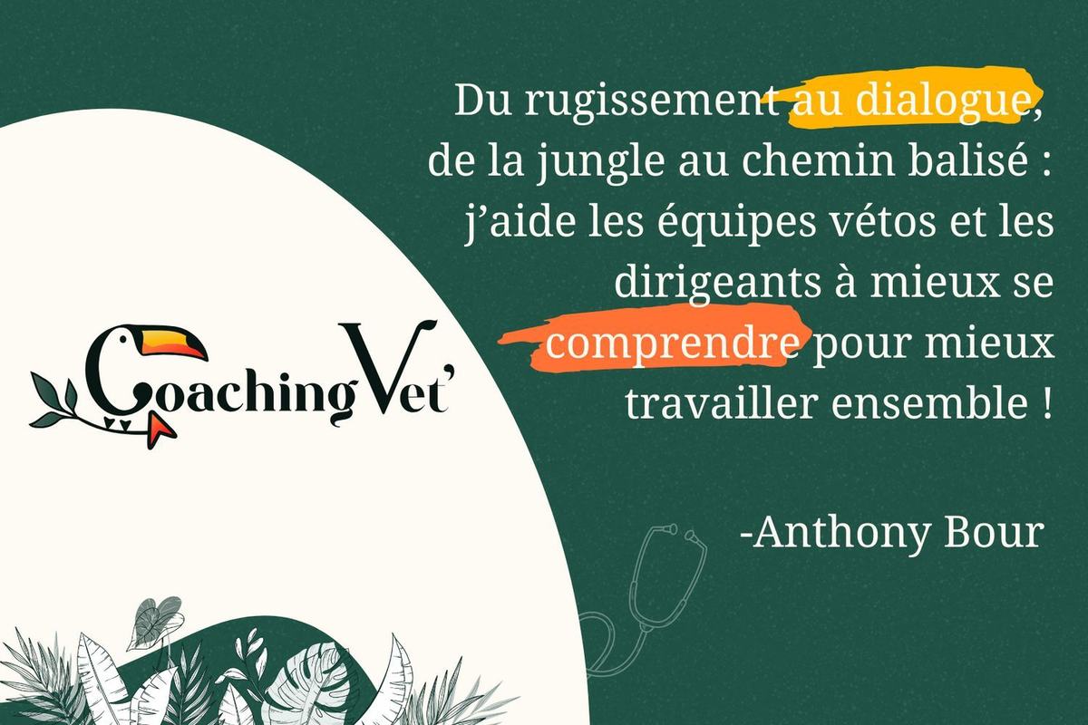 Coaching Vet' Nice