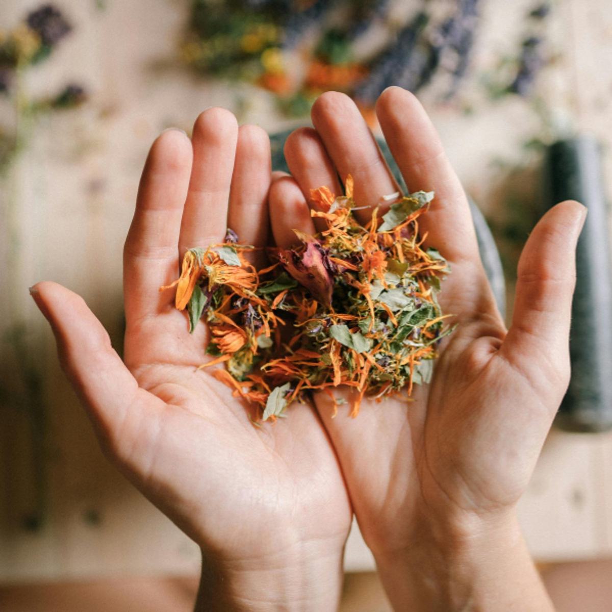 L’intérêt de la naturopathie pour accompagner les troubles hormonaux