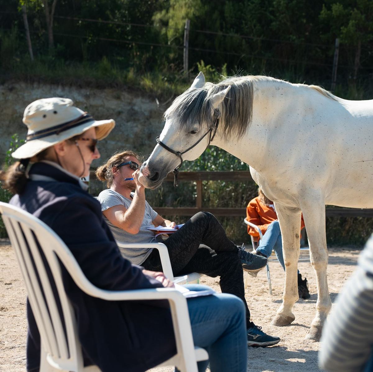 Journée de pratique supervisée en communication animale le 26 septembre à Montauroux