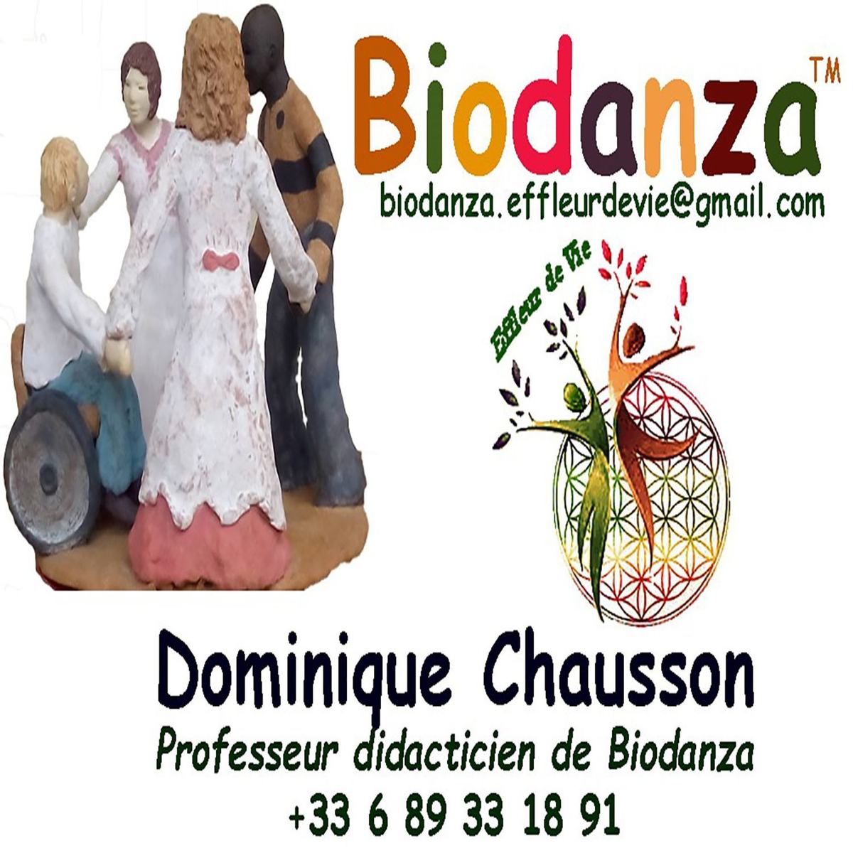 ✨ Invitation à la première séance de Biodanza de l’année ✨
