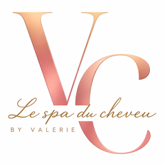 Logo Le Spa Du Cheveu