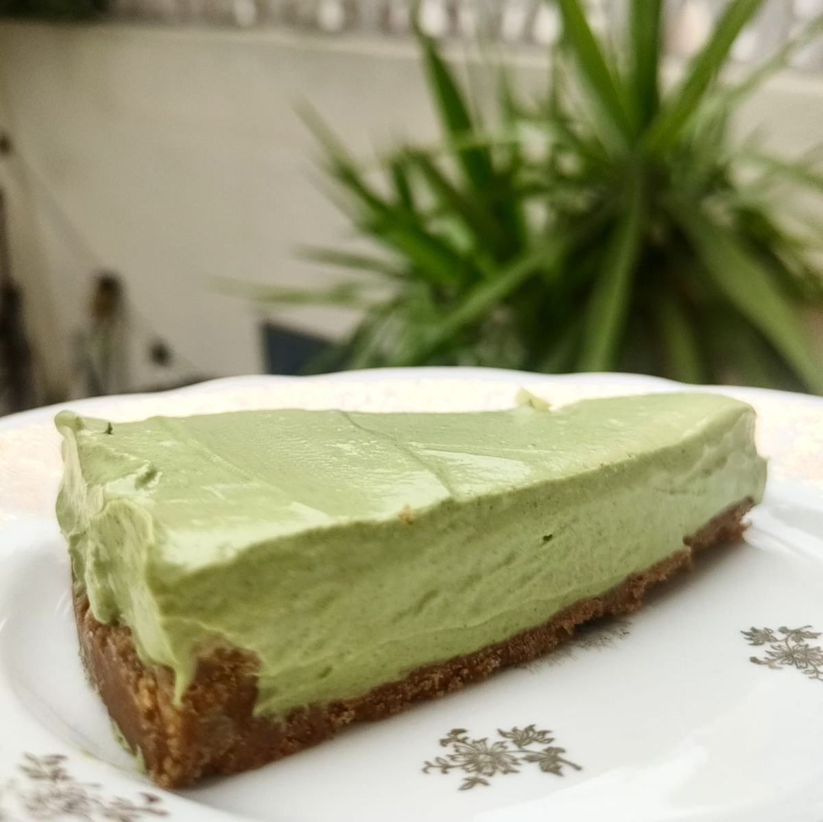 Matcha vs Feuilles de Coca : deux traditions anciennes, deux énergies naturelles — et un lien intime avec le Studio Kolibri