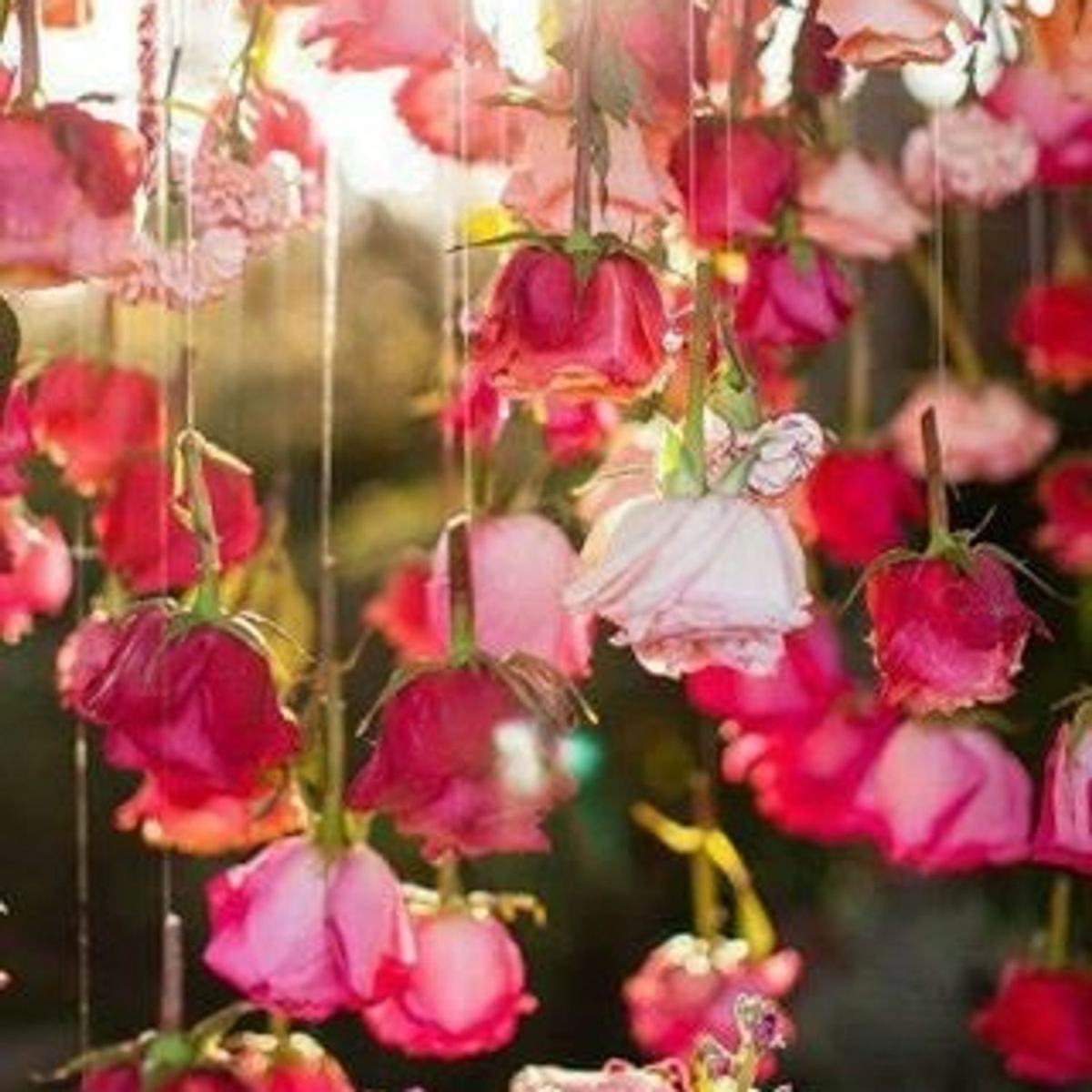 Octobre Rose