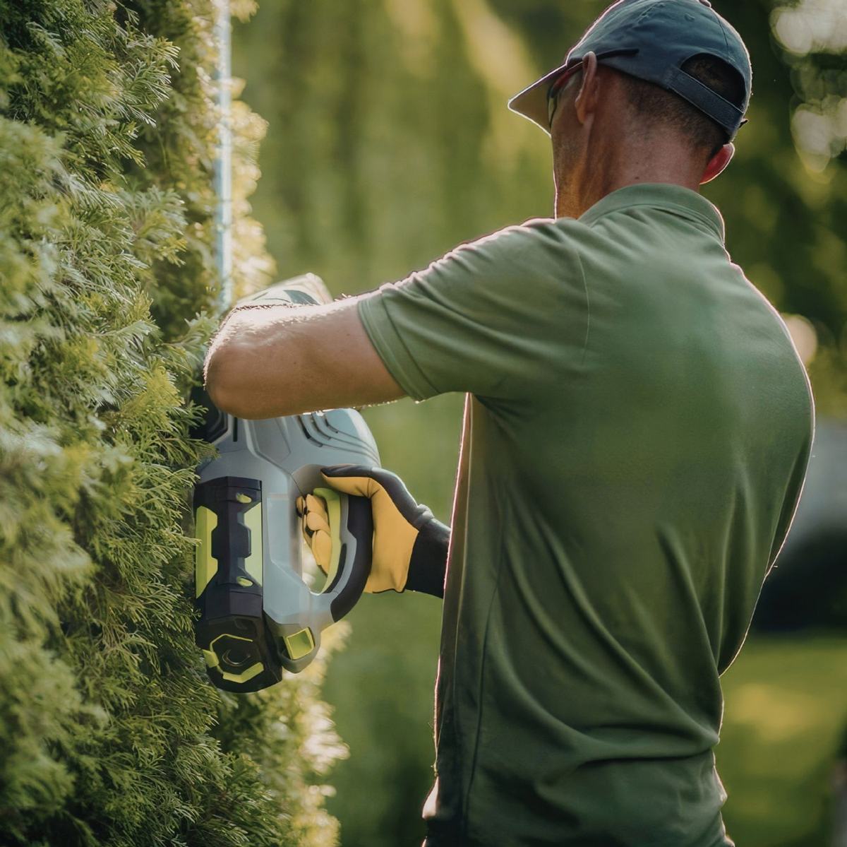 Taille de haie, tonte et débroussaillage : pourquoi confier son jardin à un professionnel ce printemps ?