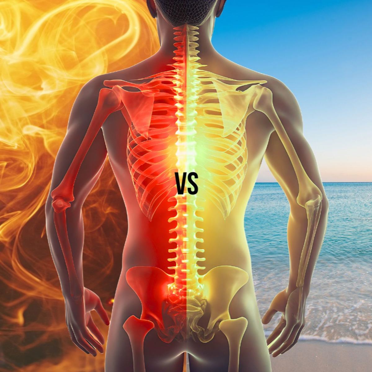Stress chronique : comprendre le système nerveux et retrouver l’équilibre